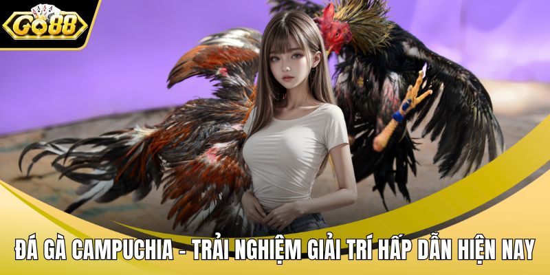 Đá Gà Campuchia – Trải Nghiệm Giải Trí Hấp Dẫn Hiện Nay