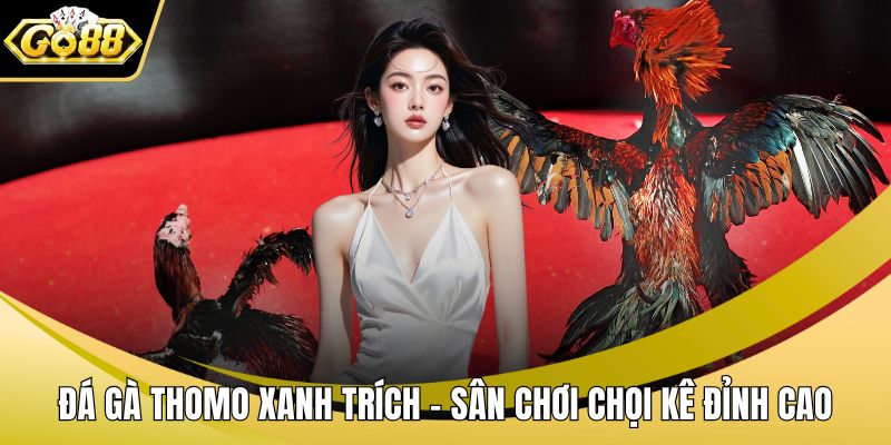 Đá Gà Thomo Xanh Trích – Sân Chơi Chọi Kê Đỉnh Cao