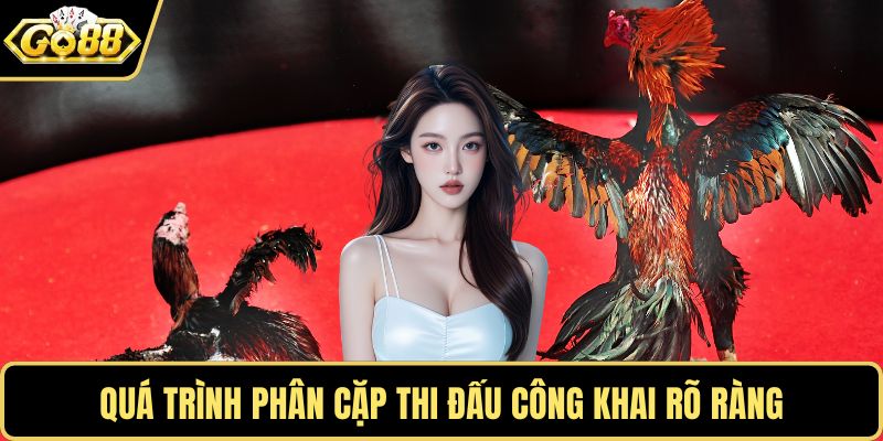 Quá trình phân cặp thi đấu công khai rõ ràng