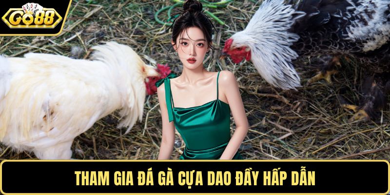 Tham gia đá gà cựa dao đầy hấp dẫn