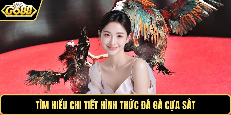 Tìm hiểu chi tiết hình thức đá gà cựa sắt
