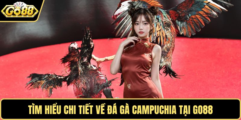 Tìm hiểu chi tiết về đá gà Campuchia tại GO88