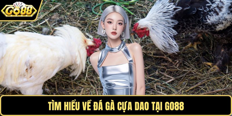 Tìm hiểu về đá gà cựa dao tại GO88