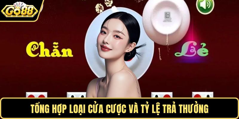 Tổng hợp loại cửa cược và tỷ lệ trả thưởng